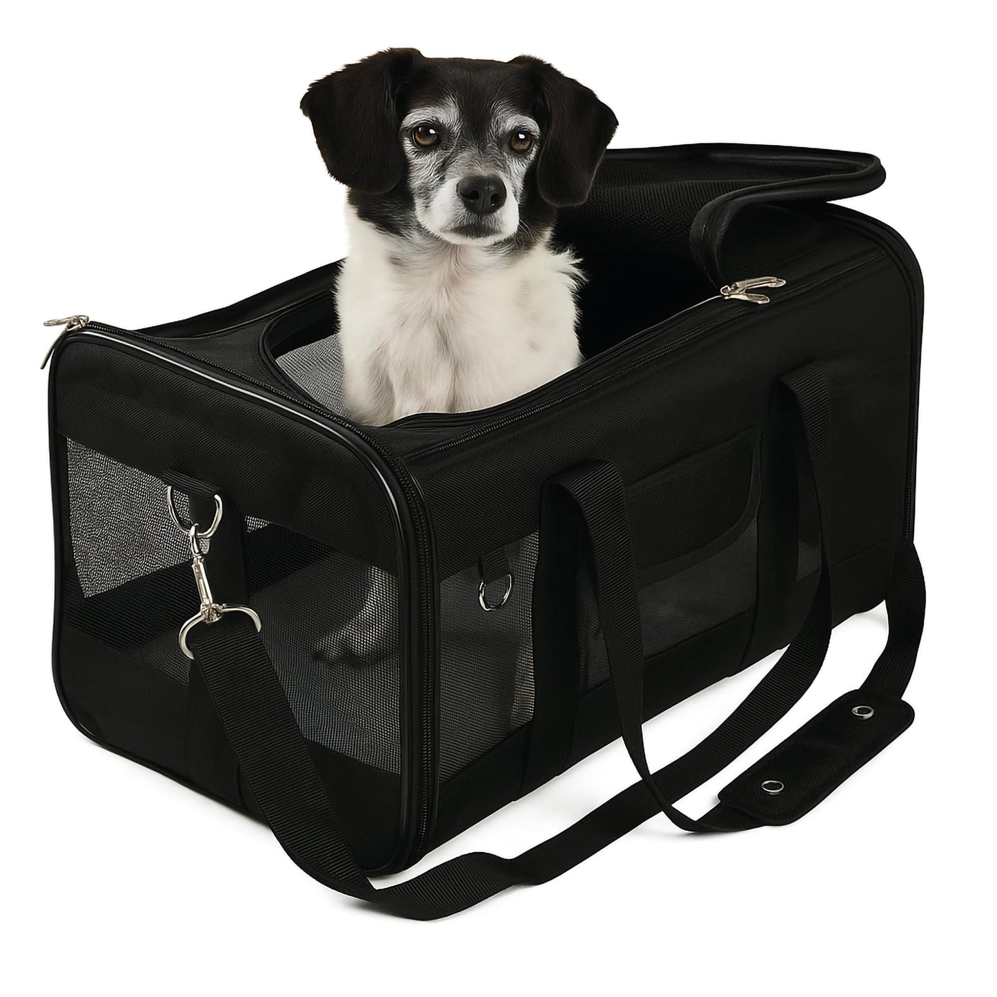 Airline-Approved Soft-Sided Pet Travel Carrier