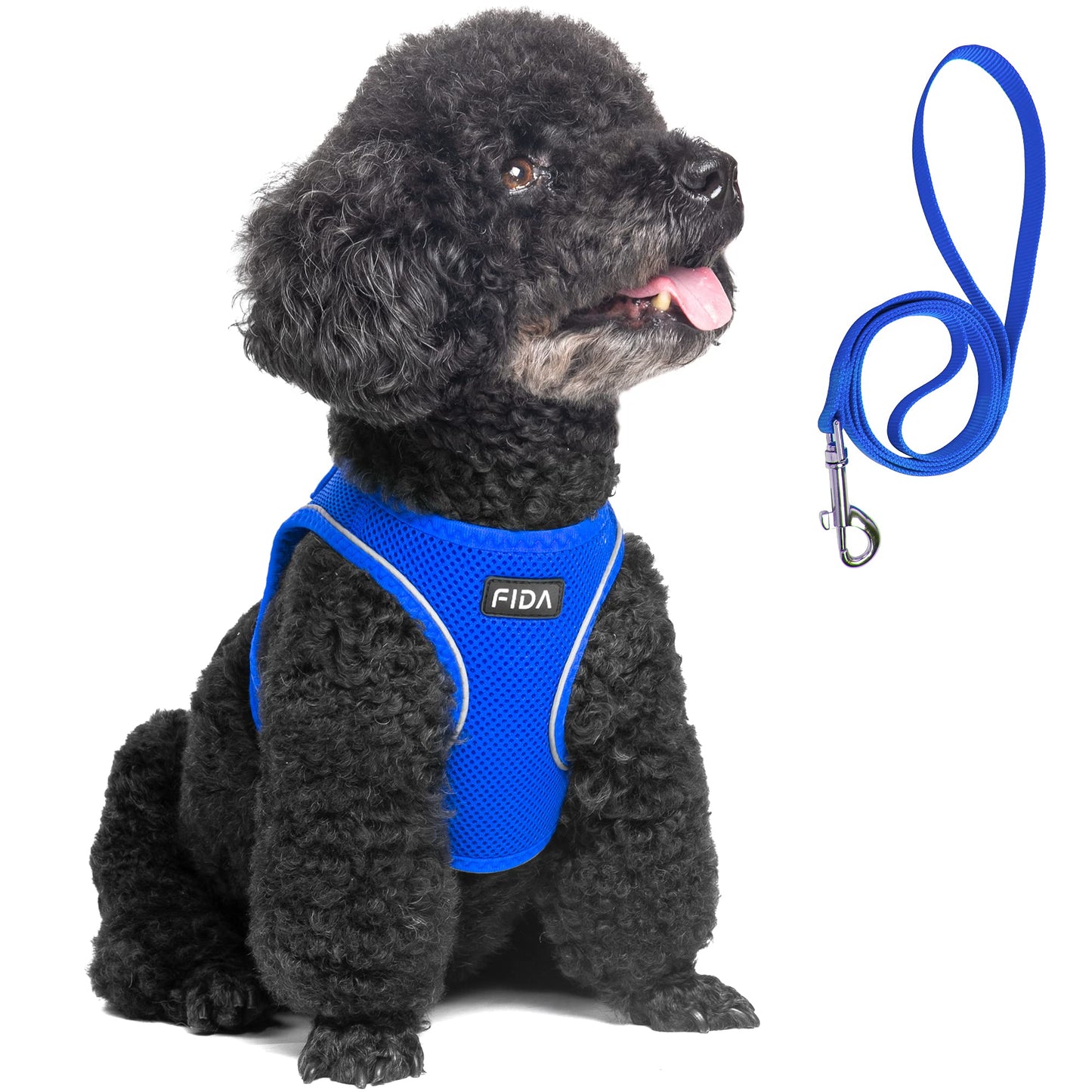 Breathable Dog Harness & Leash Set