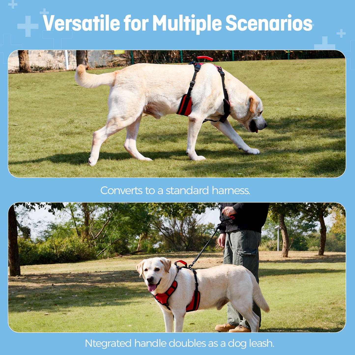 Full-Body Dog Lift Harness for Senior Dogs