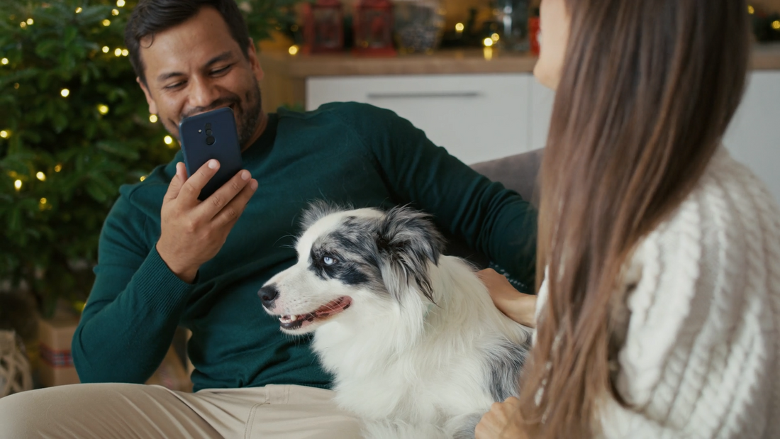 The New Meaning of Modern Pet-Friendly Living
