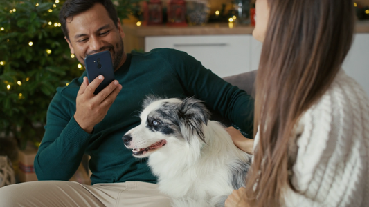 The New Meaning of Modern Pet-Friendly Living