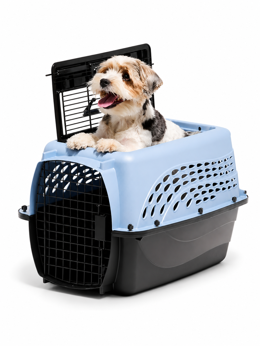 Pet Carriers
