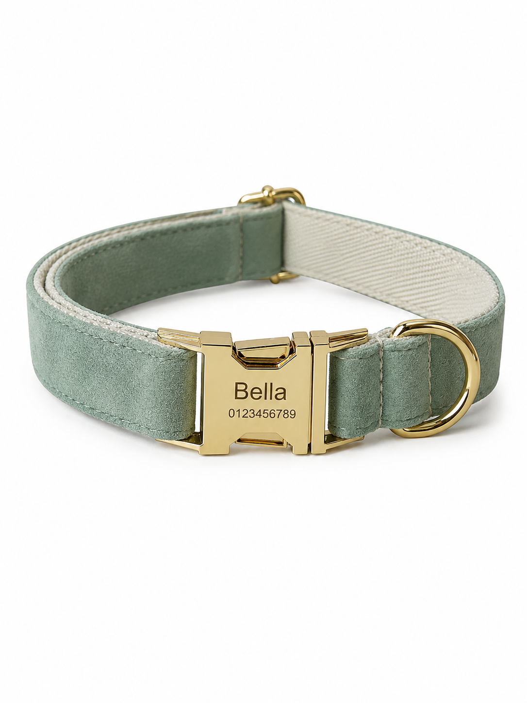Pet Collars
