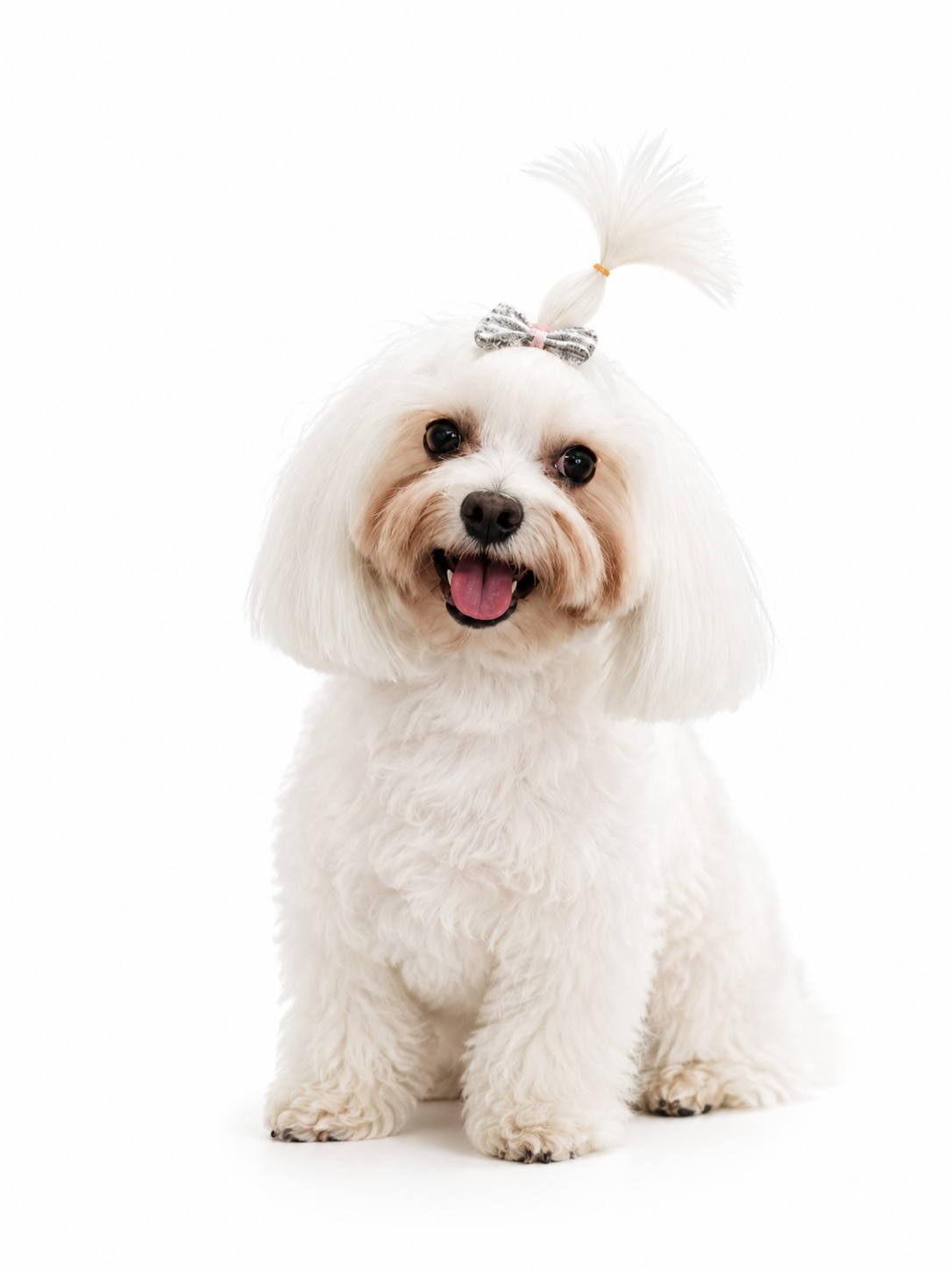 Grooming Brushes