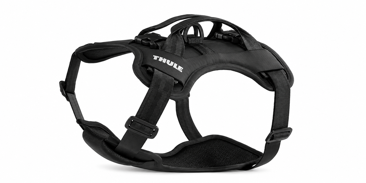 Adjustable Dog Harness for Small Dogs