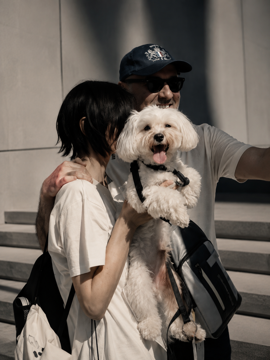 Nuzzora pet lifestyle image