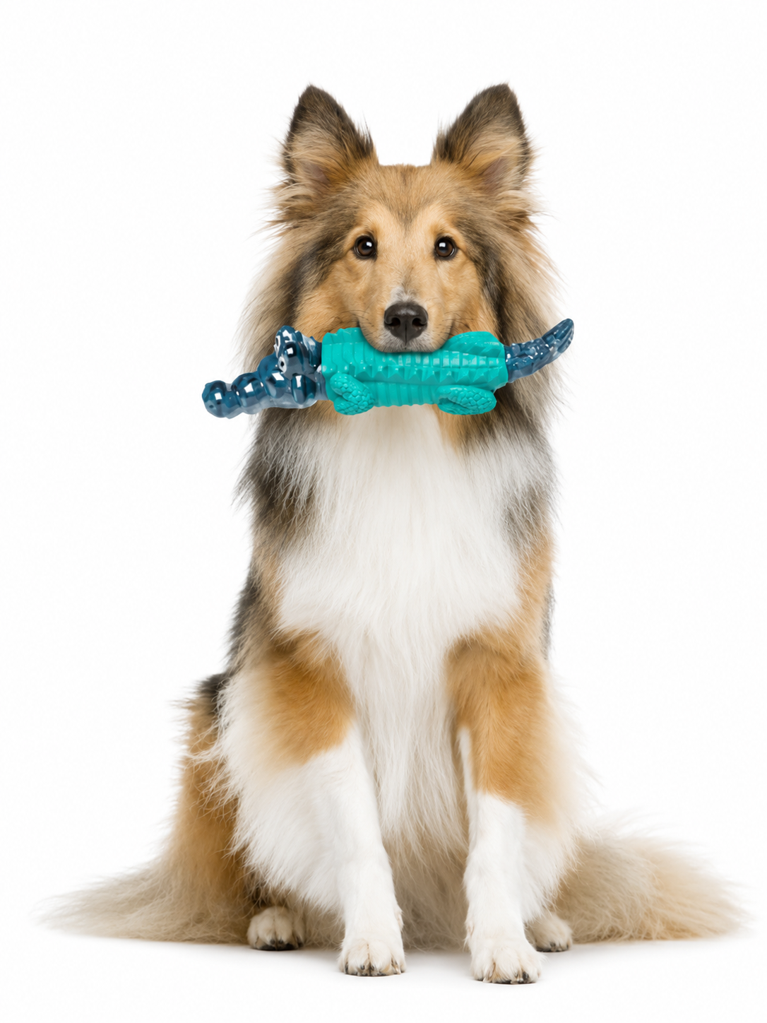 Nuzzora pet toy