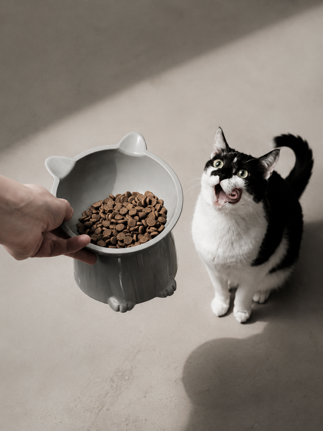 Nuzzora pet lifestyle image
