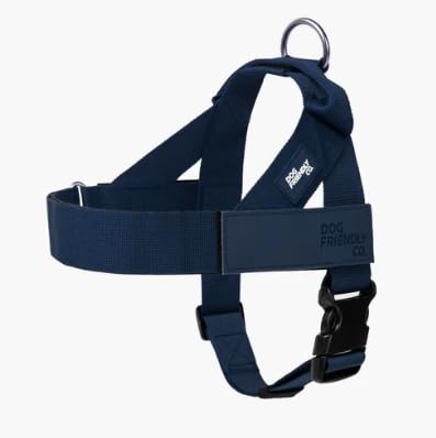 Comfort-Fit Everyday Dog Harness