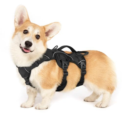 No-Pull Dog Harness with Lift Handle
