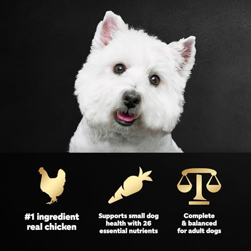 Small Breed Dry Dog Food for Daily Nutrition