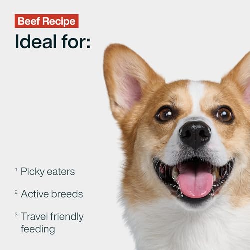 Fresh Wet Dog Food with Human-Grade Ingredients