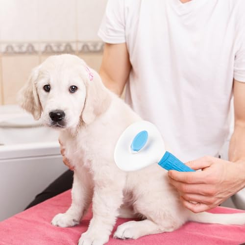Self-Cleaning Slicker Brush for Dogs & Cats