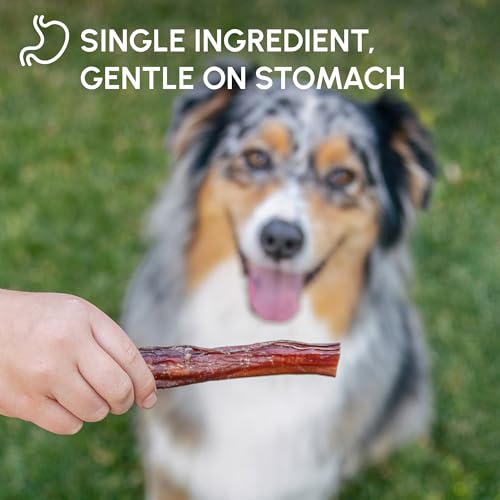 Natural Bully Stick Dog Chews for Long-Lasting Treats
