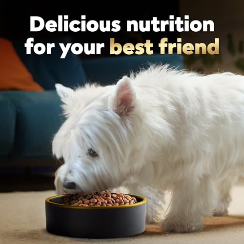 Small Breed Dry Dog Food for Daily Nutrition