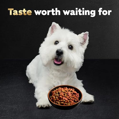 Small Breed Dry Dog Food for Daily Nutrition