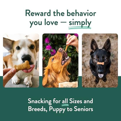 Grain-Free Natural Dog Biscuits with Simple Ingredients