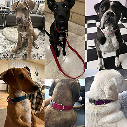 Personalized Dog Collar with Engraved Name & Number