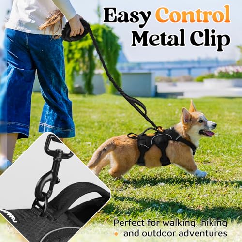 No-Pull Dog Harness with Lift Handle