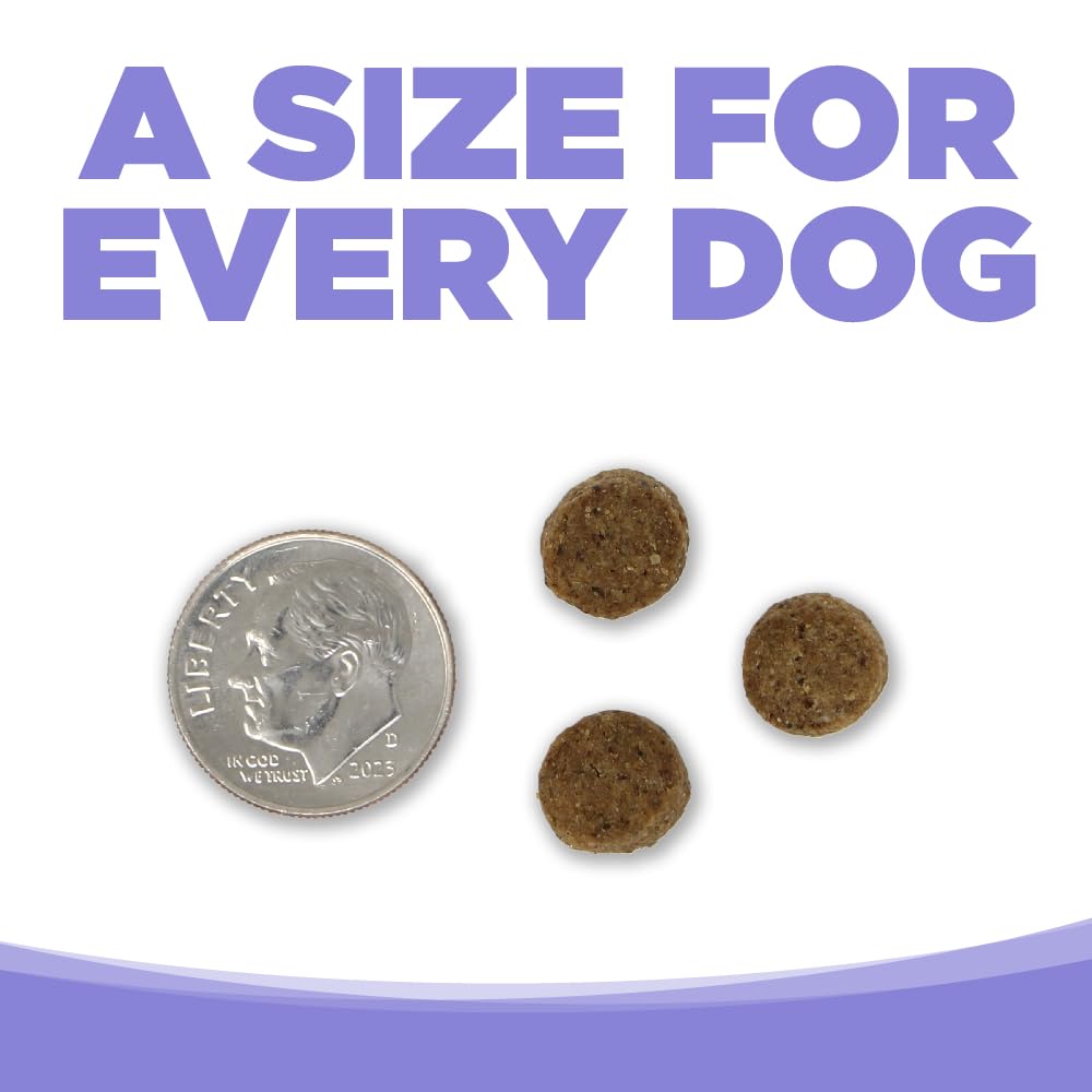 NutriSource Choice Chicken Meal & Barley Puppy Food