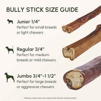 Natural Bully Stick Dog Chews for Long-Lasting Treats