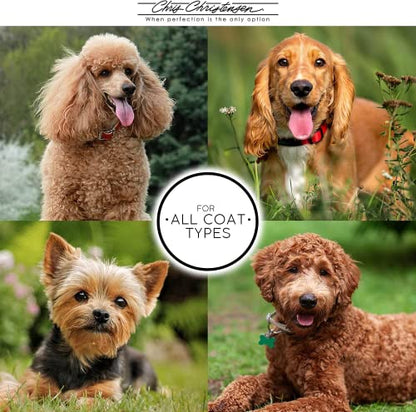 Professional Oval Pin Brush for Dog Grooming