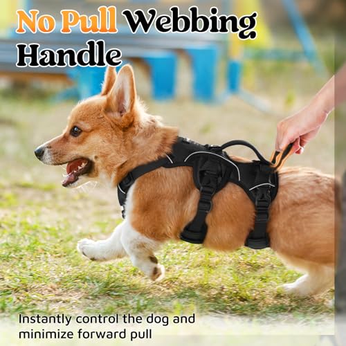 No-Pull Dog Harness with Lift Handle