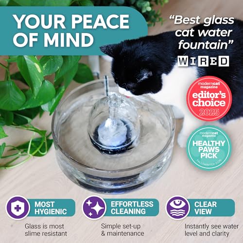 90 oz Glass Pet Water Fountain for Dogs & Cats