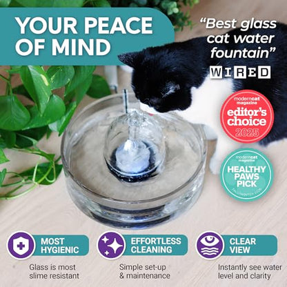 90 oz Glass Pet Water Fountain for Dogs & Cats