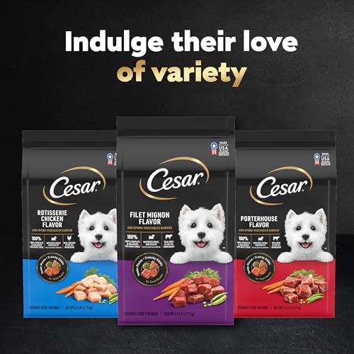 Small Breed Dry Dog Food for Daily Nutrition