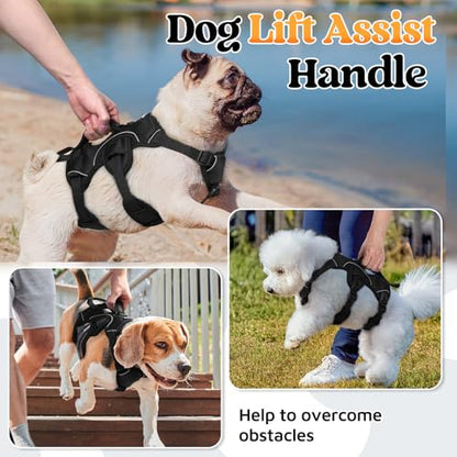 No-Pull Dog Harness with Lift Handle