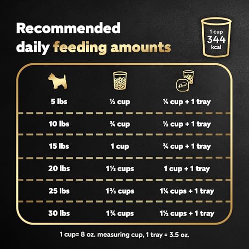 Small Breed Dry Dog Food for Daily Nutrition