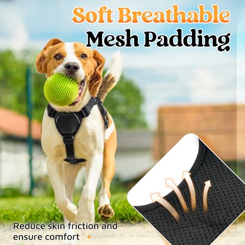 No-Pull Dog Harness with Lift Handle