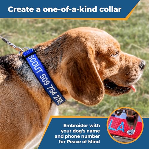 Personalized Dog Collar with Name & Phone Number