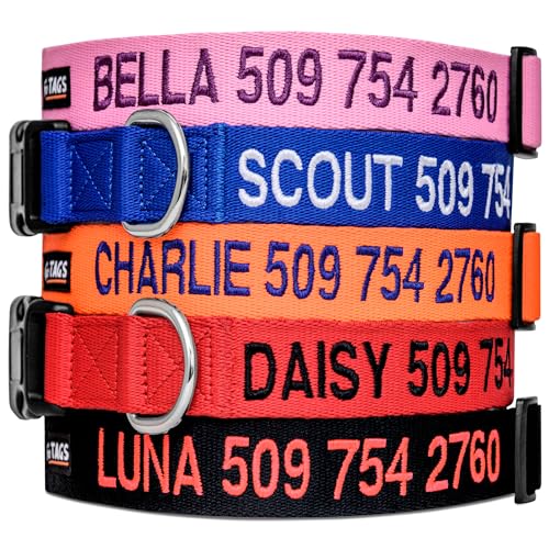 Personalized Dog Collar with Name & Phone Number