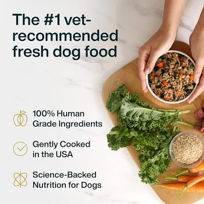Fresh Wet Dog Food with Human-Grade Ingredients