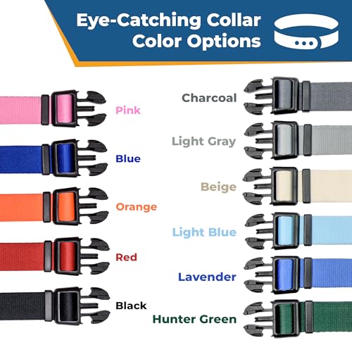 Personalized Dog Collar with Name & Phone Number