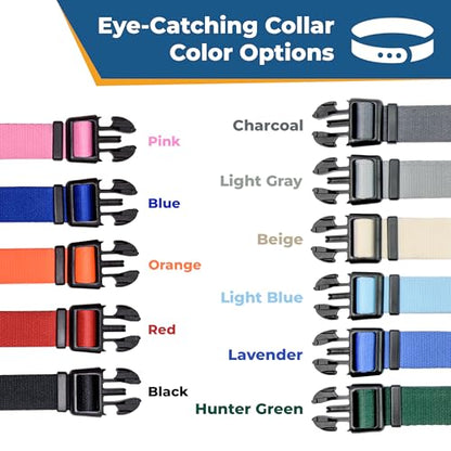 Personalized Dog Collar with Name & Phone Number
