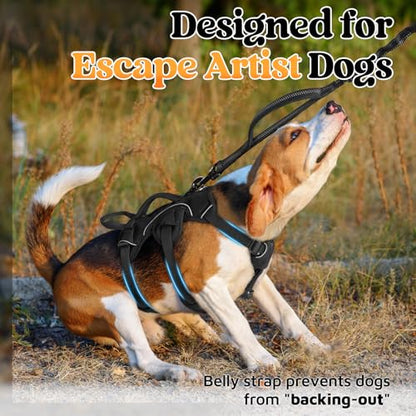 No-Pull Dog Harness with Lift Handle