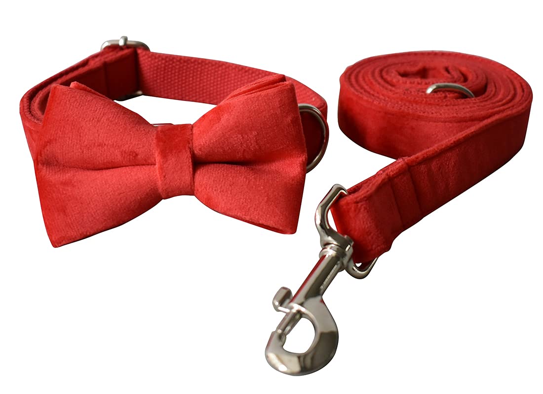 Personalized Dog Collar with Engraved Name & Number