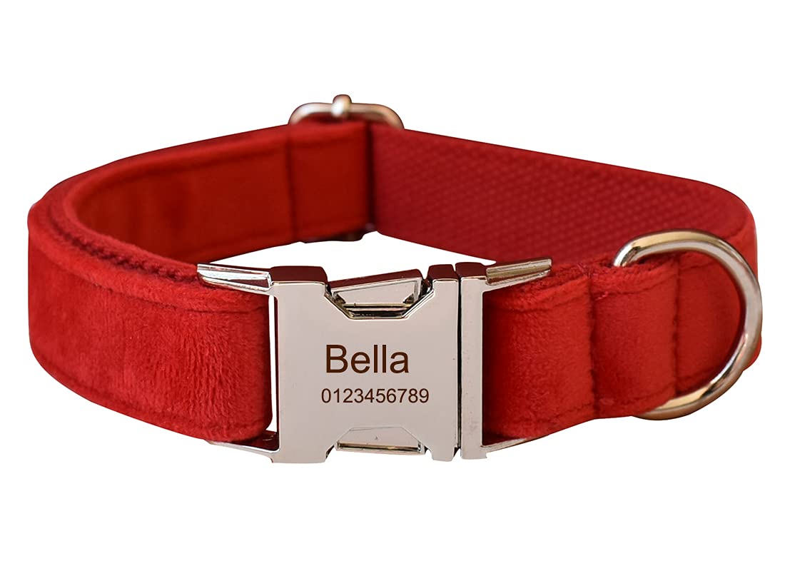 Personalized Dog Collar with Engraved Name & Number