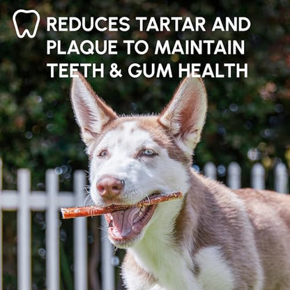 Natural Bully Stick Dog Chews for Long-Lasting Treats