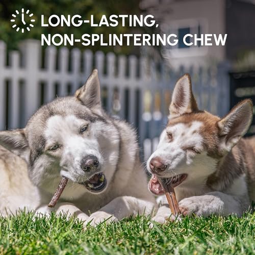 Natural Bully Stick Dog Chews for Long-Lasting Treats