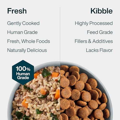 Fresh Wet Dog Food with Human-Grade Ingredients