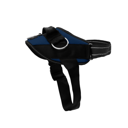 No-Pull Padded Dog Harness with 3 Leash Clips