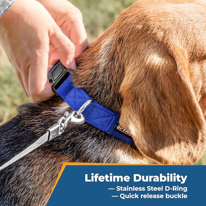 Personalized Dog Collar with Name & Phone Number