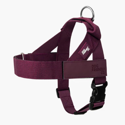 Comfort-Fit Everyday Dog Harness