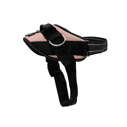 No-Pull Padded Dog Harness with 3 Leash Clips