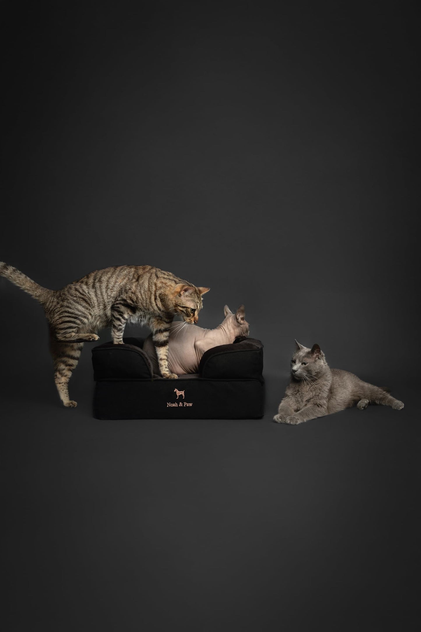 Cooling Memory Foam Orthopedic Pet Bed