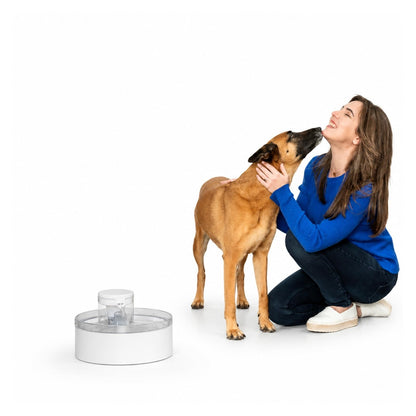 Pumpless 128 oz Pet Water Fountain for Dogs & Cats